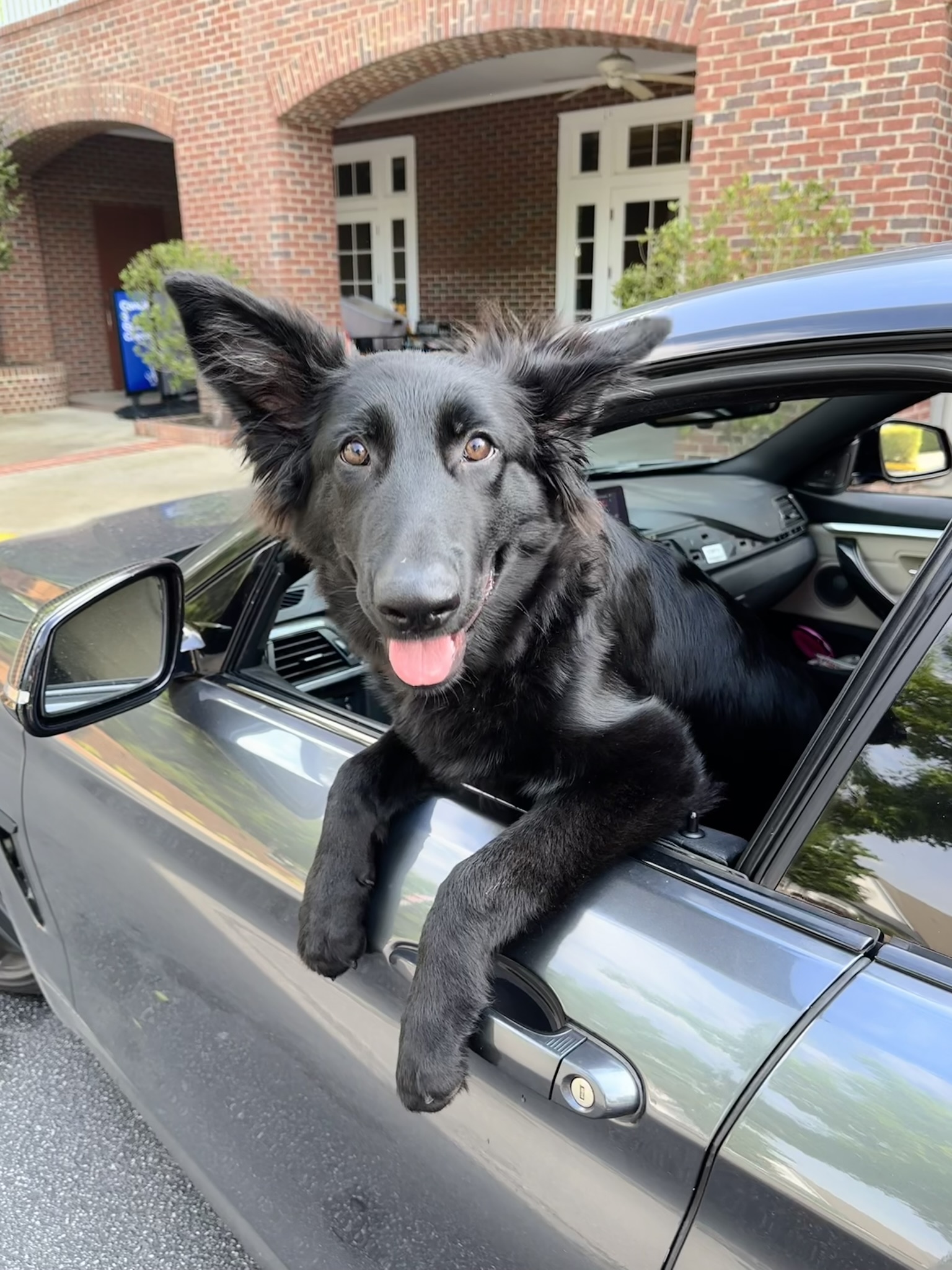 Sasha leaning out of a car window